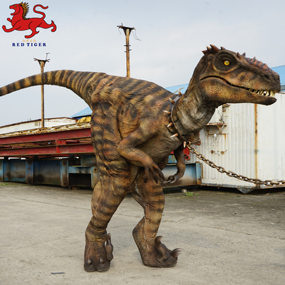 Costume animatronique de Velociraptor, costume adulte artificiel de dinosaure
