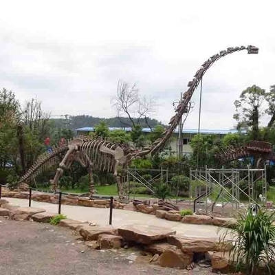 Grand squelette extérieur de dinosaure, squelette modèle de dinosaure résistant au soleil