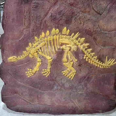 Répliques faites à la main de dinosaure de musée, âge de la jeunesse de reproduction de crâne de Dino