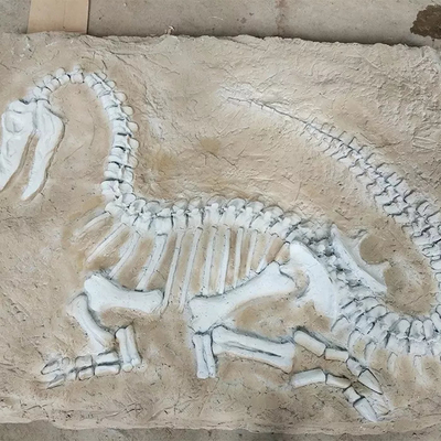 Réplique grandeur nature de dinosaure, fossile de reproduction de dinosaure pour des activités commerciales