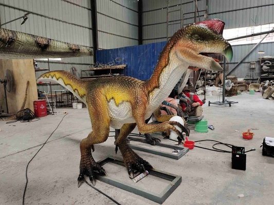 Velociraptor Animatronic de parc à thème de robot réaliste adulte de dinosaure
