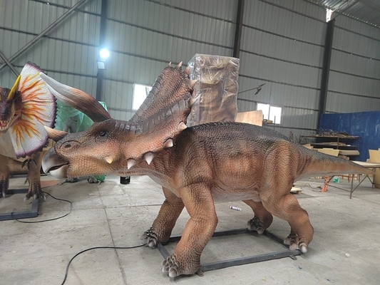 Parque du Jurassique Tricératops animatronique modèle 5m