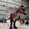 L'âge adulte réaliste du costume 8m de dinosaure de musée long sonne adapté aux besoins du client
