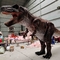 L'âge adulte réaliste du costume 8m de dinosaure de musée long sonne adapté aux besoins du client