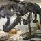Réplique de squelette de dinosaure d'intérieur pour les jeunes, garantie de 12 mois
