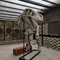 Fossile personnalisable de crâne de dinosaure de taille de reproduction de squelette de dinosaure de centre commercial