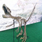 Fossile personnalisable de crâne de dinosaure de taille de reproduction de squelette de dinosaure de centre commercial