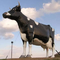 La sculpture grandeur nature imperméable en vache à statue animale réaliste a adapté disponible aux besoins du client
