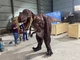 Poids léger réaliste de costume de dinosaure de taille adulte respirable
