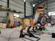 Velociraptor Animatronic de parc à thème de robot réaliste adulte de dinosaure