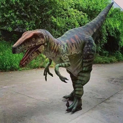 Un vrai costume de dinosaure à vendre.