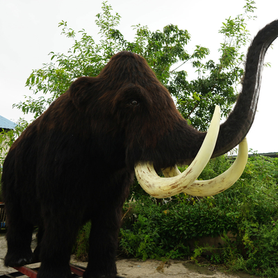 Mammouth laineux réaliste pleine grandeur imperméable pour parc d'attractions