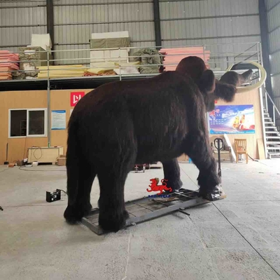 acheter Modèle réaliste de mammouth grandeur nature d'animaux animés réalistes RoHS online manufacture