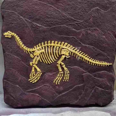 acheter Réplique de squelette de dinosaure extérieur RoHS grandeur nature modèle approuvé online manufacture