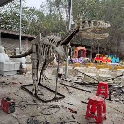 acheter Réplique grandeur nature extérieure/d'intérieur de crâne de dinosaure, reproductions de fossile de dinosaure online manufacture