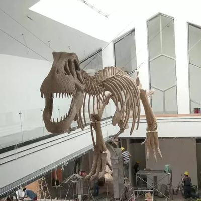 acheter Réplique de squelette de dinosaure d'intérieur pour les jeunes, garantie de 12 mois online manufacture