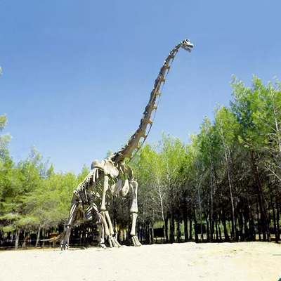 acheter Réplique réaliste de squelette de dinosaure/réplique du monde jurassique pour l'intérieur online manufacture
