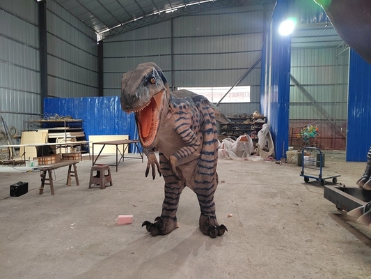 acheter Véritable costume de dinosaure adulte Véritable costume de dinosaure marchant online manufacture