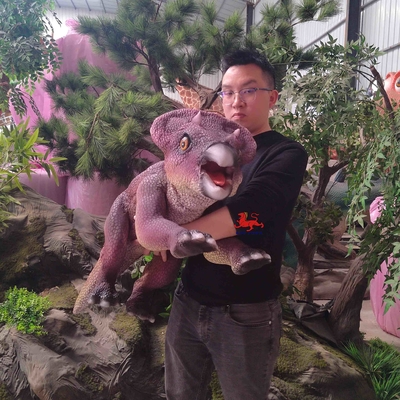 acheter Le spectacle de théâtre Petit dinosaure, marionnette de Protocératops online manufacture