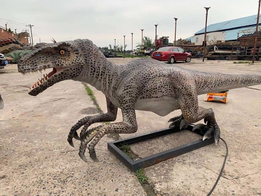 acheter Dinosaure de parc à thème de modèle de vélociraptor de dinosaure animatronique réaliste grandeur nature online manufacture
