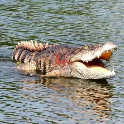 Un bon prix. Nouveau robot nageur à télécommande animé réaliste Crocodile en ligne