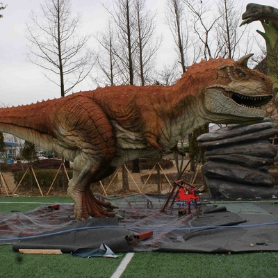 Good price Statue réaliste de Carnotaurus de modèle de dinosaure animatronique d'équipement de parc à thème en ligne