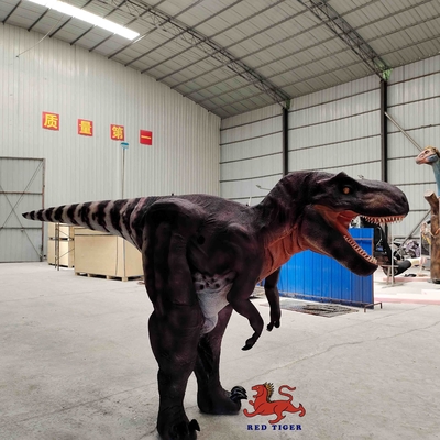 Costume adapté aux besoins du client de la vraie vie T Rex, costume d'intérieur de tyrannosaure