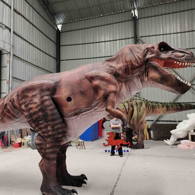 L'âge adulte réaliste du costume 8m de dinosaure de musée long sonne adapté aux besoins du client
