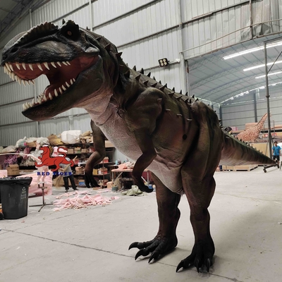 Personnalisation Costume de dinosaure réaliste Modèle Carcharodontosaurus