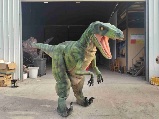 Good price Le centre commercial La vie comme un dinosaure Costume CE RoHs en ligne