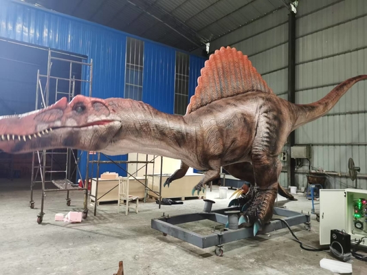Taille réaliste Animatronique Dinosaure Spinosaurus Servo-moteurs Grande gamme de mouvements