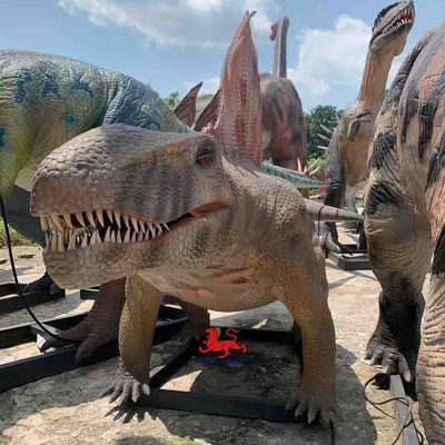 Nom