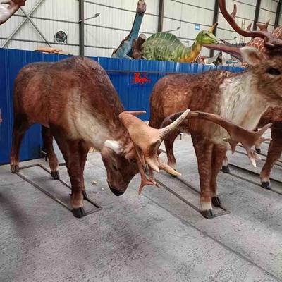 Nom