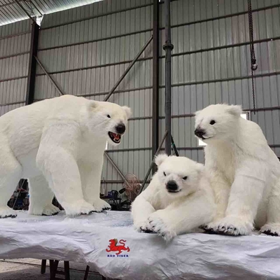 Nom
