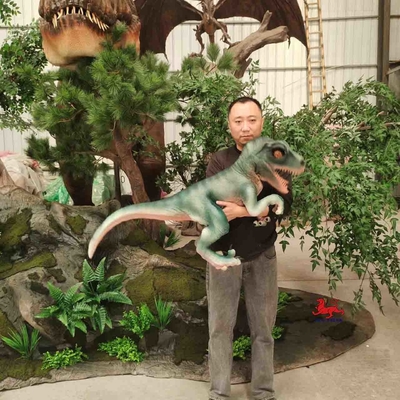 Nom
