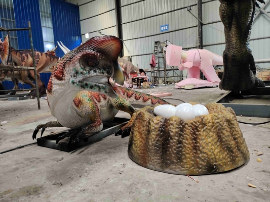 Nom