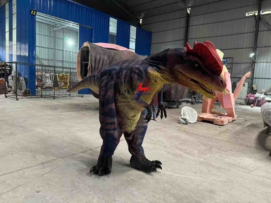 Nom