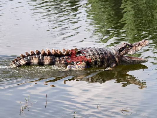 Nom