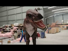 Personnalisation Costume de dinosaure réaliste Modèle de carcharodontosaure