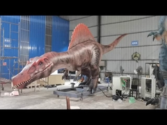 Taille réaliste Animatronique Dinosaure Spinosaurus Servo-moteurs Grande gamme de mouvements